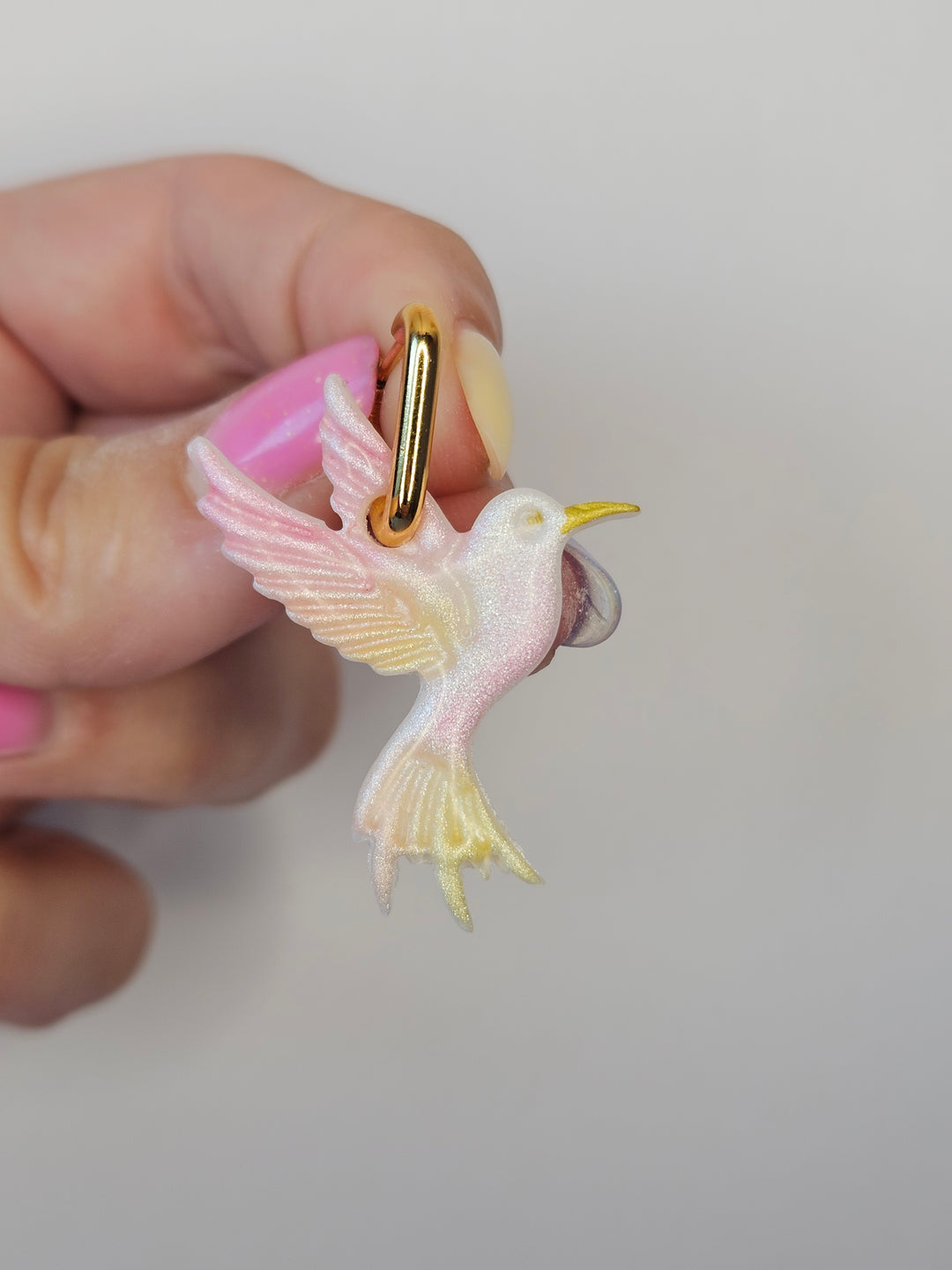 Pampille  colibri