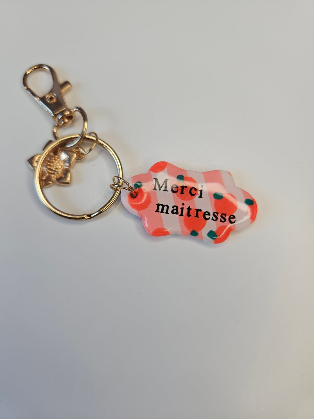 Porte clé maîtresse